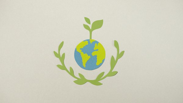 Préservation des Forêts : Le Pouvoir des Politiques Publiques Dévoilé